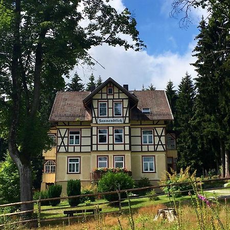 Haus Sonnenblick Apartment Benneckenstein Bagian luar foto