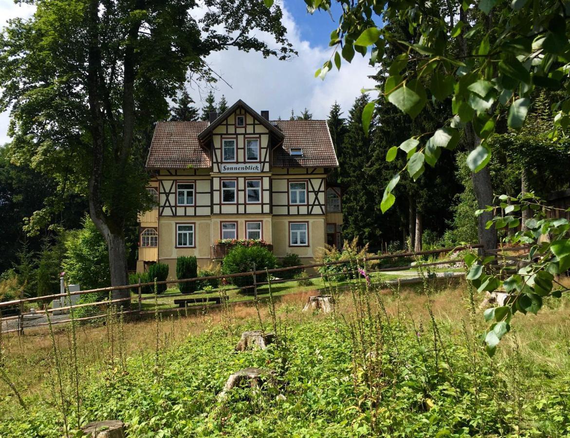 Haus Sonnenblick Apartment Benneckenstein Bagian luar foto