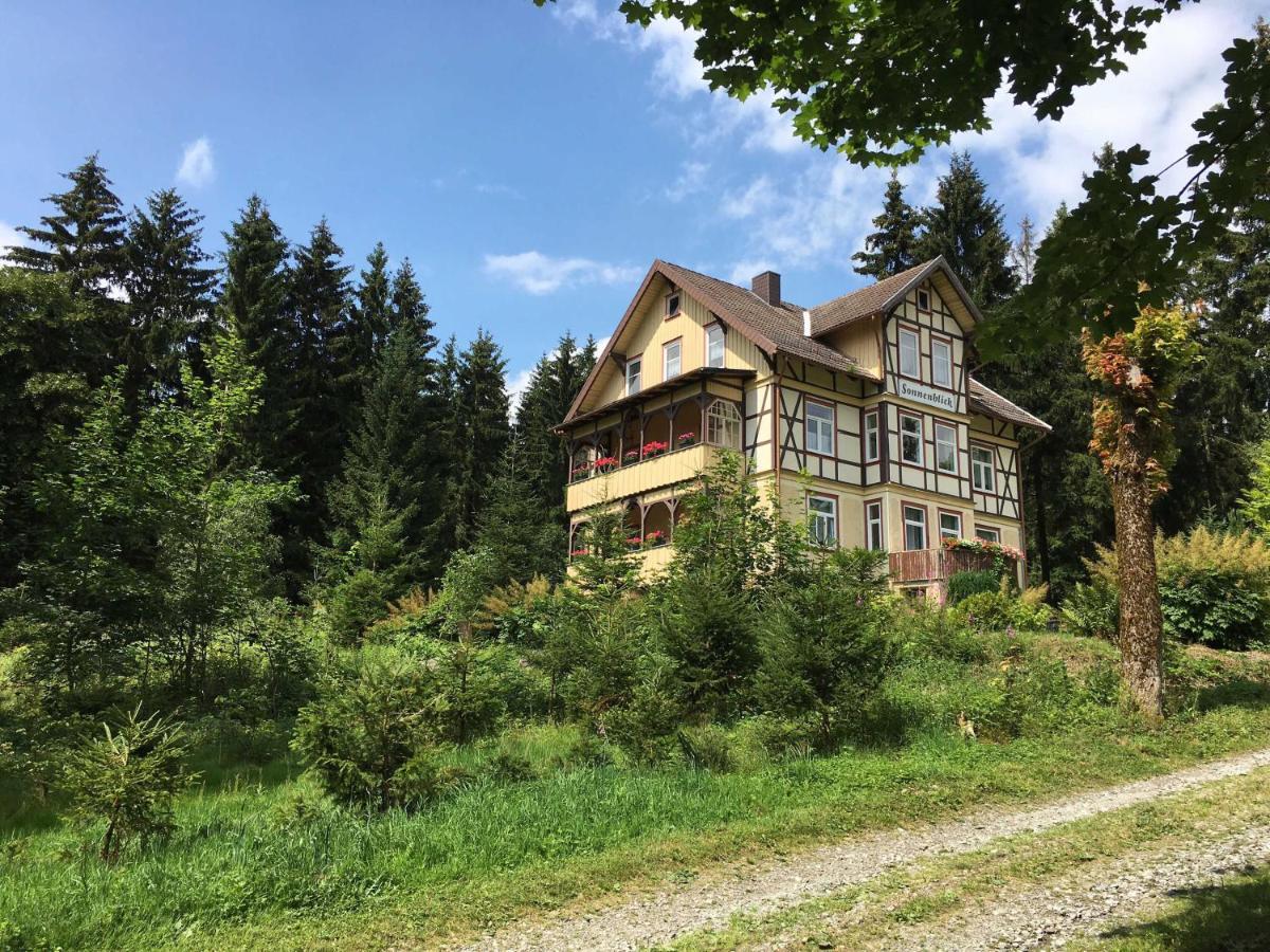 Haus Sonnenblick Apartment Benneckenstein Bagian luar foto